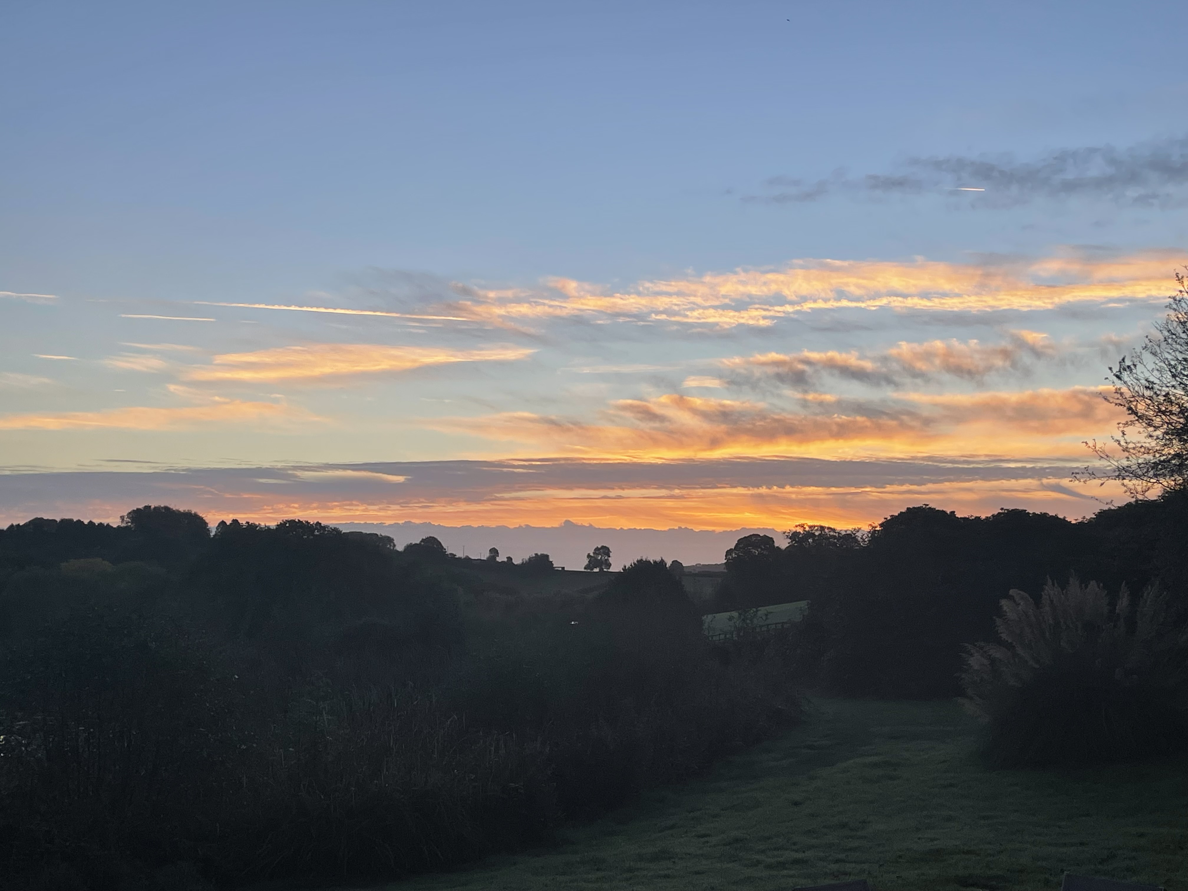 Dawn 16.10.26
